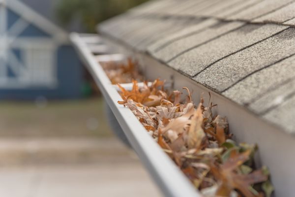 Leaf Barrier Installation in Chesapeake